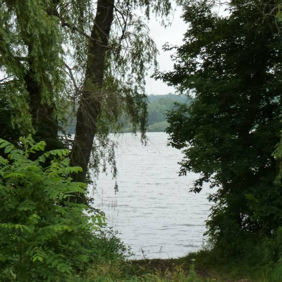 Meet your Posher, Pauline - Picture 1 of 1